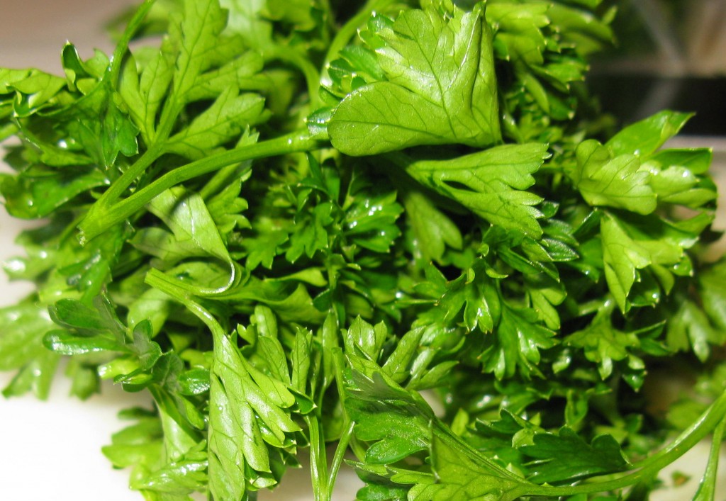 parsley